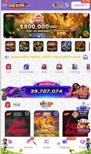 HI309 Game